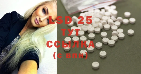 PSILOCYBIN Волосово