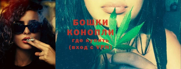 шишки Володарск