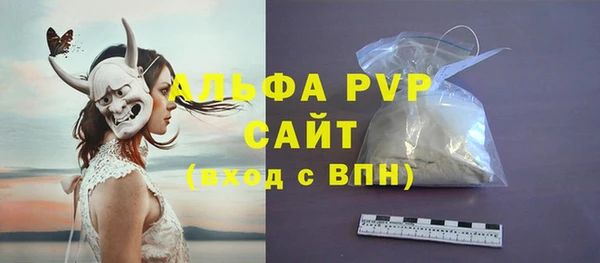 PSILOCYBIN Волосово