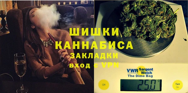 PSILOCYBIN Волосово