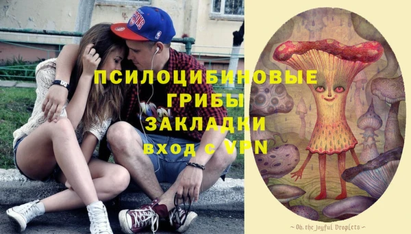 шишки Володарск